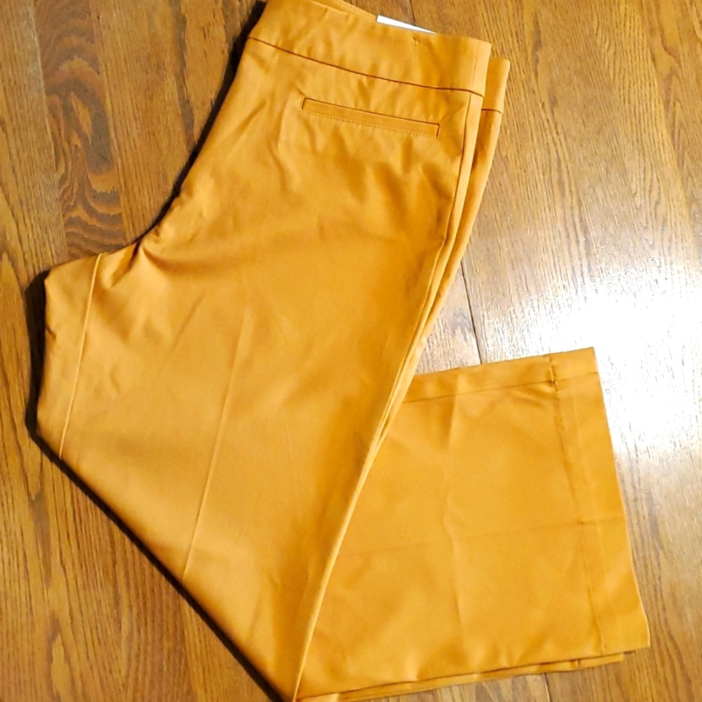 Ann Taylor Mustard Yellow Tailored Pants